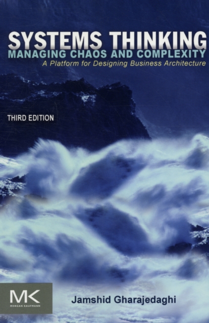 Systems Thinking : Managing Chaos and Complexity: A Platform for Designing Business Architecture, Paperback / softback Book