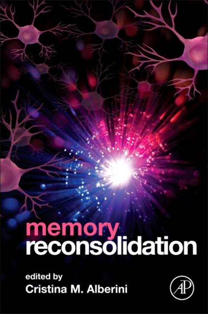 Memory Reconsolidation, Hardback Book