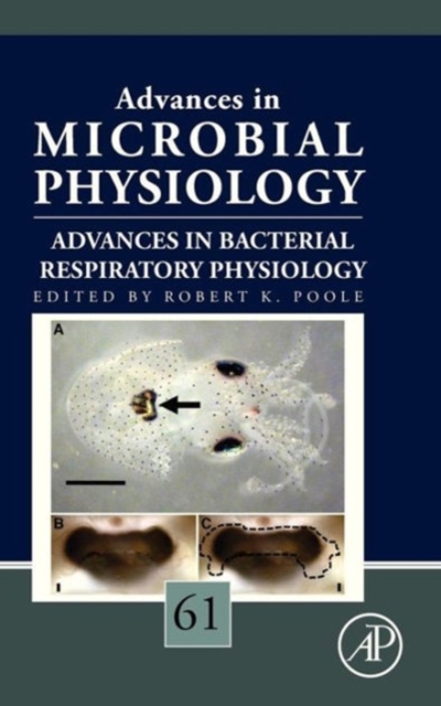 Advances in Bacterial Respiratory Physiology : Volume 61, Hardback Book