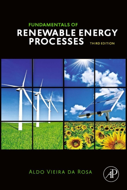 Fundamentals of Renewable Energy Processes, PDF eBook