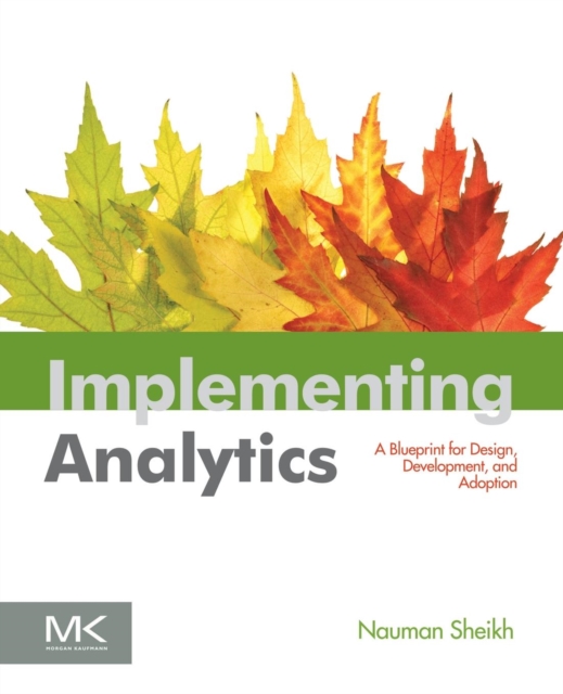 Implementing Analytics : A Blueprint for Design, Development, and Adoption, Paperback / softback Book