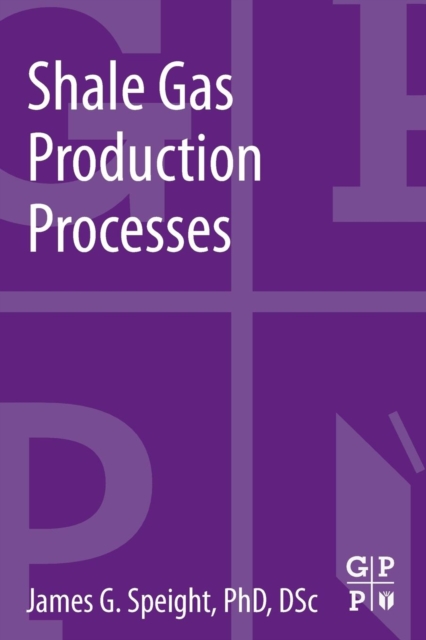 Shale Gas Production Processes, Paperback / softback Book