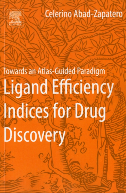 Ligand Efficiency Indices for Drug Discovery : Towards an Atlas-Guided Paradigm, Paperback / softback Book