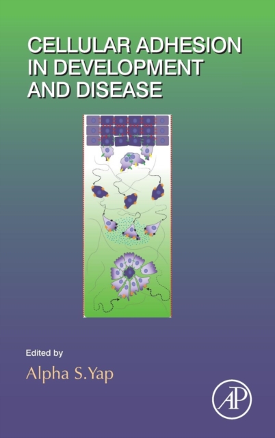 Cellular Adhesion in Development and Disease : Volume 112, Hardback Book