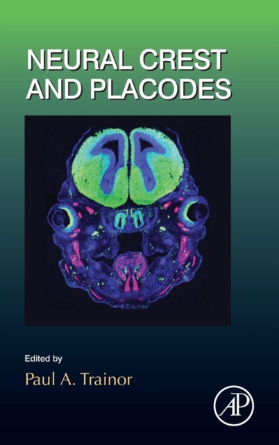Neural Crest and Placodes : Volume 111, Hardback Book