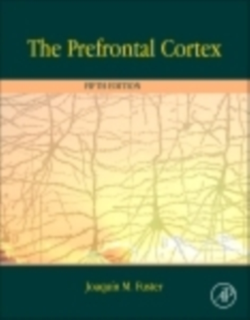 The Prefrontal Cortex, Hardback Book