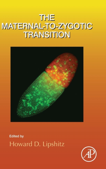 The Maternal-to-Zygotic Transition : Volume 113, Hardback Book