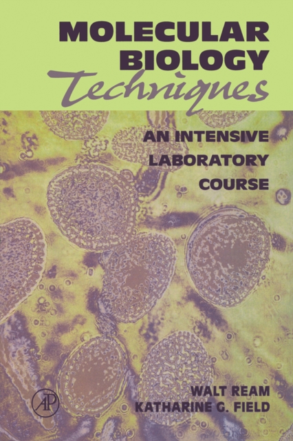 Molecular Biology Techniques : An Intensive Laboratory Course, Paperback / softback Book