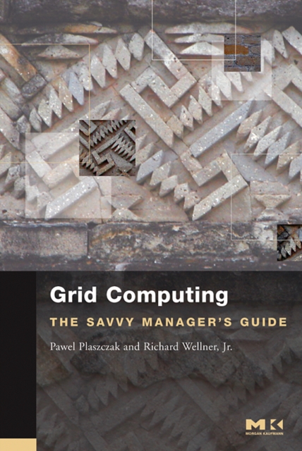 Grid Computing : The Savvy Manager's Guide, Paperback / softback Book