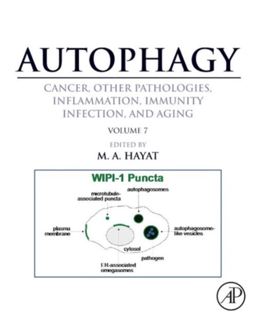 Autophagy: Cancer, Other Pathologies, Inflammation, Immunity, Infection, and Aging : Volume 7Role of Autophagy in Therapeutic Applications, Hardback Book