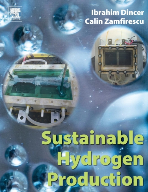 Sustainable Hydrogen Production, Paperback / softback Book