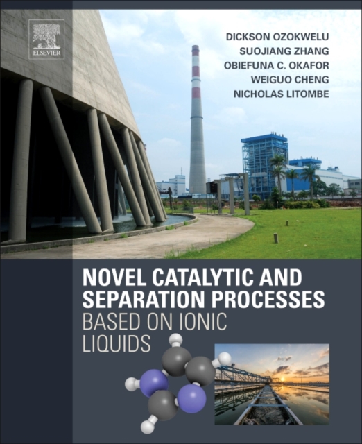Novel Catalytic and Separation Processes Based on Ionic Liquids, Hardback Book