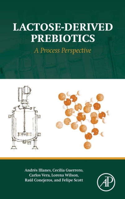 Lactose-Derived Prebiotics : A Process Perspective, Hardback Book