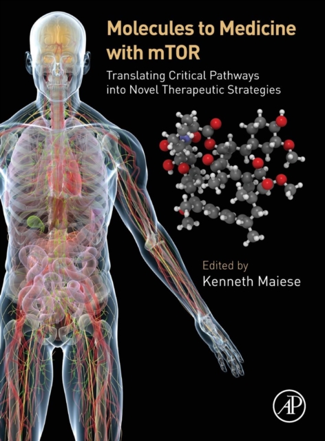 Molecules to Medicine with mTOR : Translating Critical Pathways into Novel Therapeutic Strategies, Hardback Book