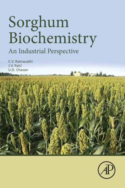 Sorghum Biochemistry : An Industrial Perspective, Paperback / softback Book