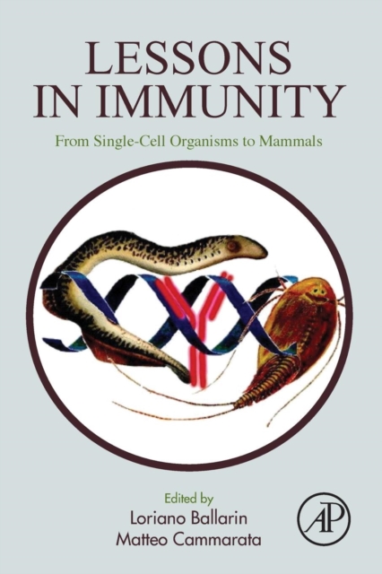 Lessons in Immunity : From Single-cell Organisms to Mammals, Paperback / softback Book