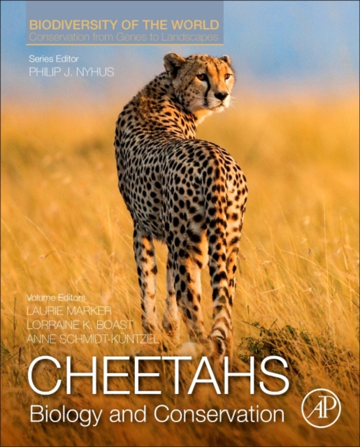 Cheetahs: Biology and Conservation : Biodiversity of the World: Conservation from Genes to Landscapes, Hardback Book