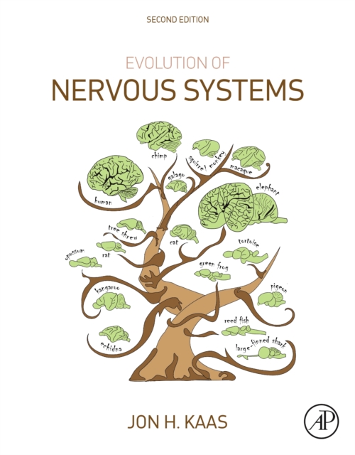 Evolution of Nervous Systems, PDF eBook