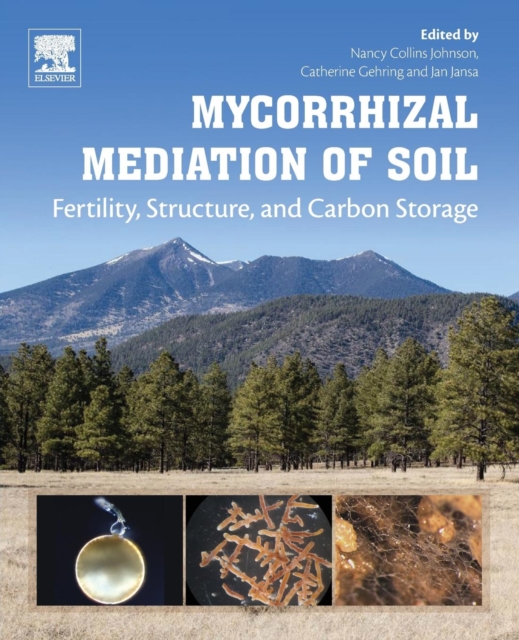 Mycorrhizal Mediation of Soil : Fertility, Structure, and Carbon Storage, Paperback / softback Book