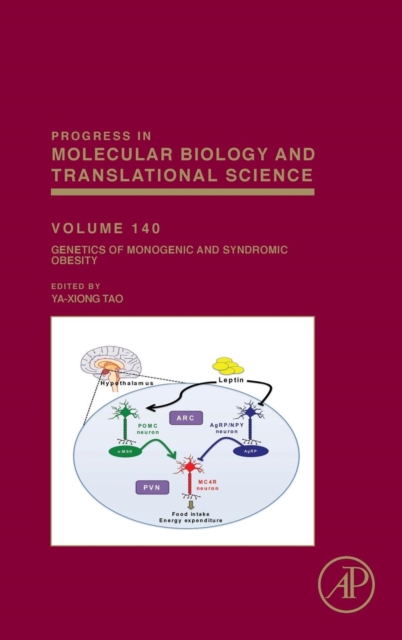 Genetics of Monogenic and Syndromic Obesity : Volume 140, Hardback Book