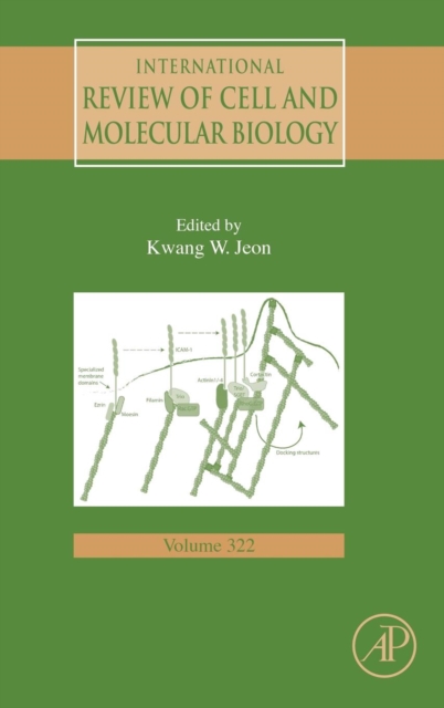International Review of Cell and Molecular Biology : Volume 322, Hardback Book