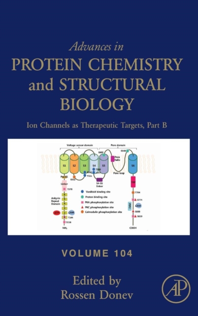 Ion Channels as Therapeutic Targets, Part B : Volume 104, Hardback Book