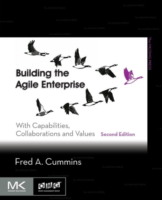 Building the Agile Enterprise : With Capabilities, Collaborations and Values, Paperback / softback Book