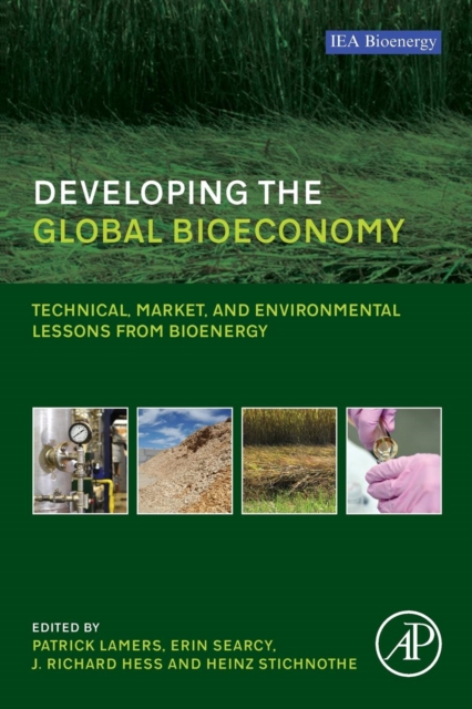 Developing the Global Bioeconomy : Technical, Market, and Environmental Lessons from Bioenergy, Paperback / softback Book