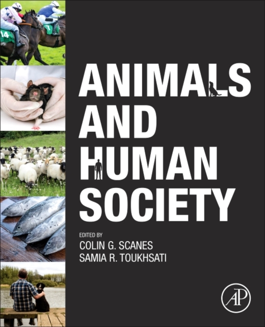 Animals and Human Society, Paperback / softback Book