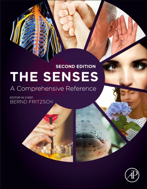 The Senses: A Comprehensive Reference, PDF eBook