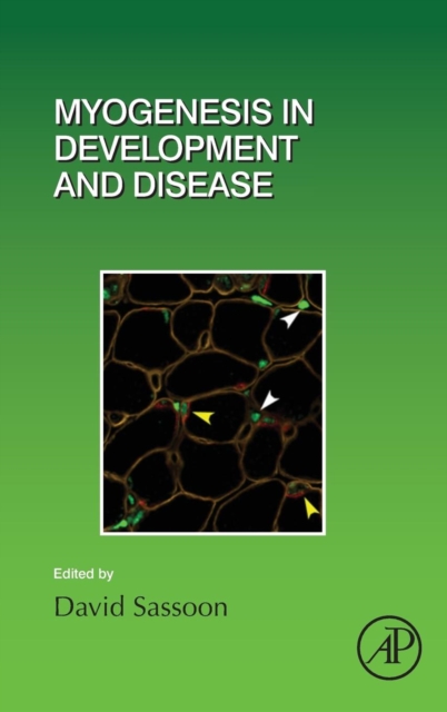 Myogenesis in Development and Disease : Volume 126, Hardback Book
