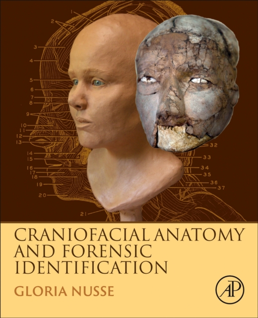 Craniofacial Anatomy and Forensic Identification, Hardback Book
