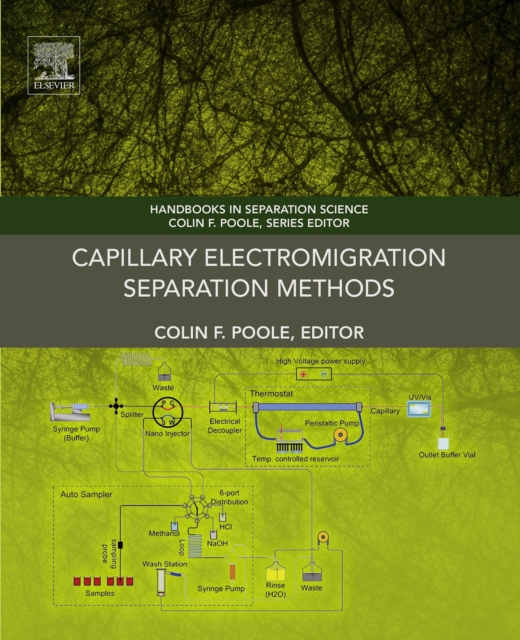 Capillary Electromigration Separation Methods, EPUB eBook