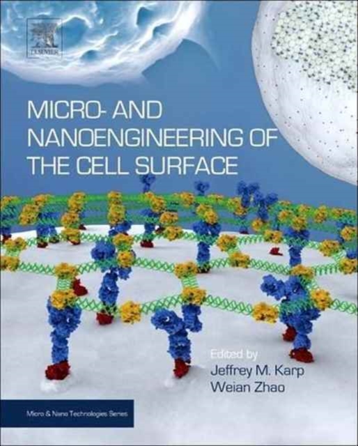 Micro- and Nanoengineering of the Cell Surface, Paperback / softback Book