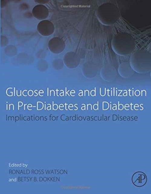 Glucose Intake and Utilization in Pre-Diabetes and Diabetes : Implications for Cardiovascular Disease, Paperback / softback Book