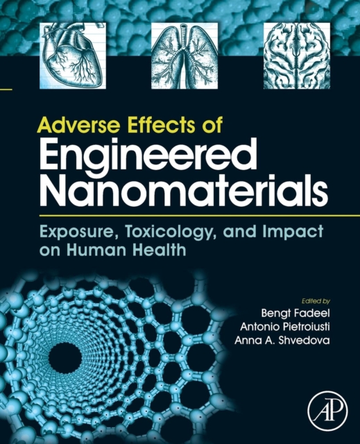 Adverse Effects of Engineered Nanomaterials : Exposure, Toxicology, and Impact on Human Health, Paperback / softback Book