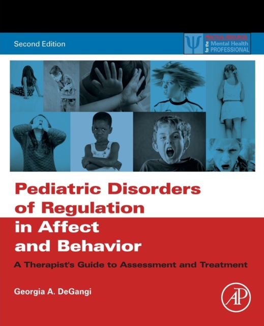 Pediatric Disorders of Regulation in Affect and Behavior : A Therapist's Guide to Assessment and Treatment, Paperback / softback Book