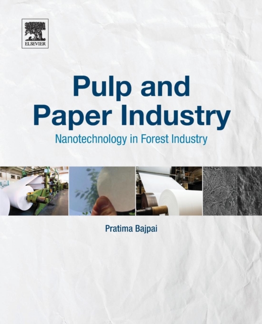 Pulp and Paper Industry : Nanotechnology in Forest Industry, Paperback / softback Book