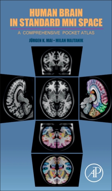 Human Brain in Standard MNI Space : A Comprehensive Pocket Atlas, Paperback / softback Book