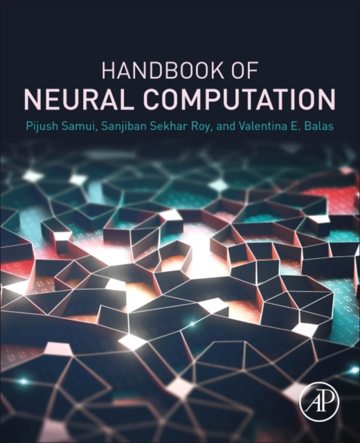 Handbook of Neural Computation, Paperback / softback Book