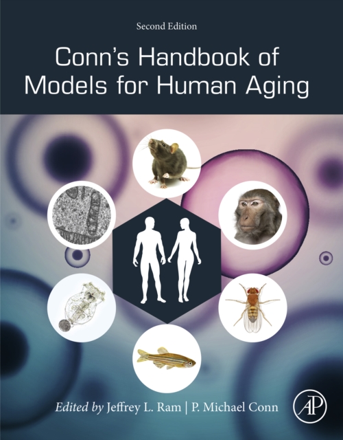 Conn's Handbook of Models for Human Aging, EPUB eBook