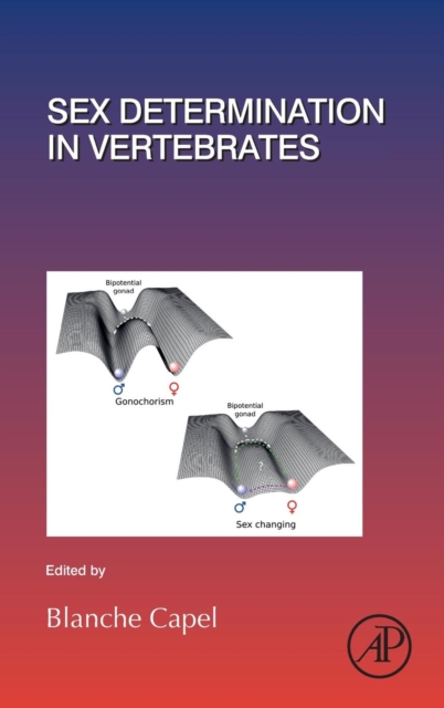 Sex Determination in Vertebrates : Volume 134, Hardback Book