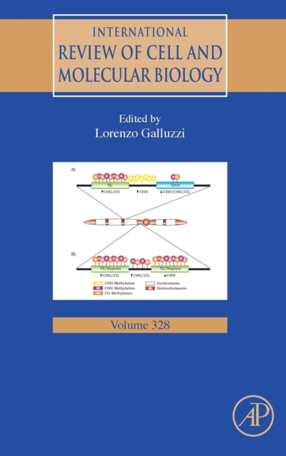 International Review of Cell and Molecular Biology : Volume 328, Hardback Book