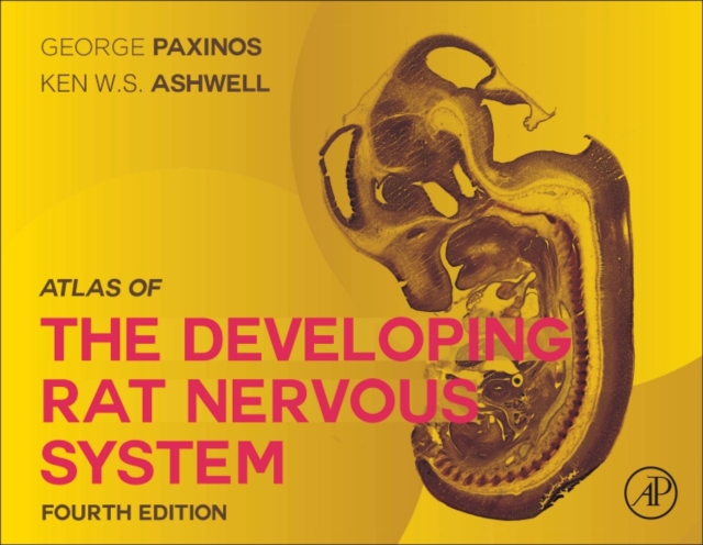 Atlas of the Developing Rat Nervous System, Hardback Book