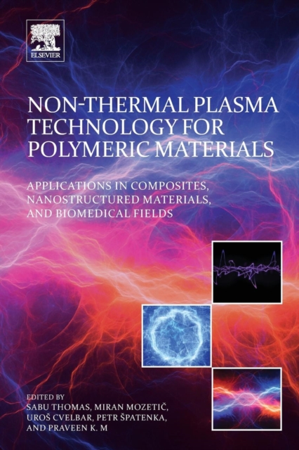 Non-Thermal Plasma Technology for Polymeric Materials : Applications in Composites, Nanostructured Materials, and Biomedical Fields, Paperback / softback Book