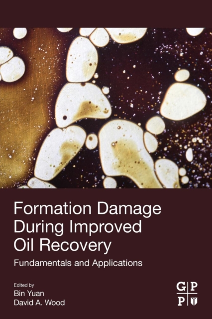 Formation Damage during Improved Oil Recovery : Fundamentals and Applications, Paperback / softback Book