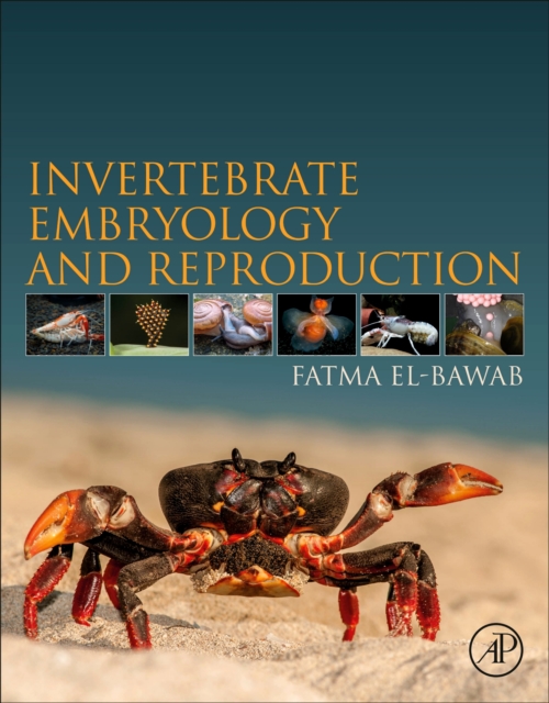 Invertebrate Embryology and Reproduction, Paperback / softback Book