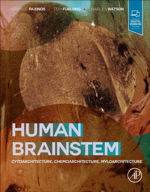 Human Brainstem : Cytoarchitecture, Chemoarchitecture, Myeloarchitecture, Hardback Book
