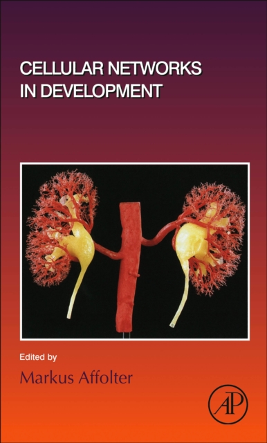 Cellular Networks in Development : Volume 143, Hardback Book