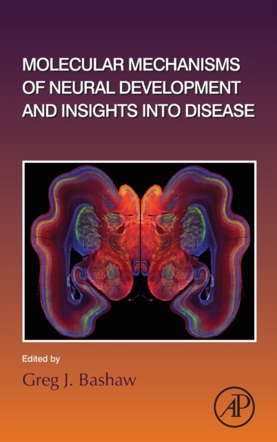 Molecular Mechanisms of Neural Development and Insights into Disease : Volume 142, Hardback Book